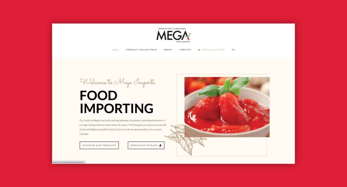 One of 2point0media's clients, Mega Importing website.
